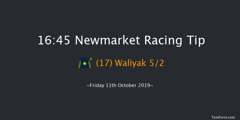 Newmarket 16:45 Maiden (Class 3) 7f Sat 5th Oct 2019