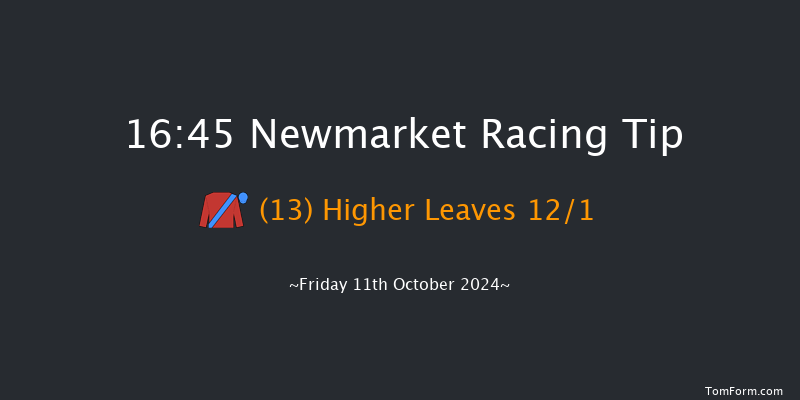 Newmarket  16:45 Group 3 (Class 1) 10f Sat 5th Oct 2024