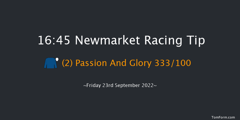 Newmarket 16:45 Listed (Class 1) 12f Thu 22nd Sep 2022