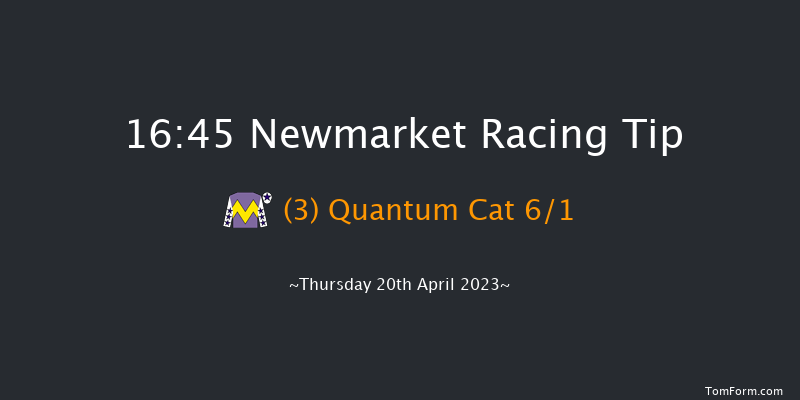 Newmarket 16:45 Stakes (Class 4) 10f Wed 19th Apr 2023