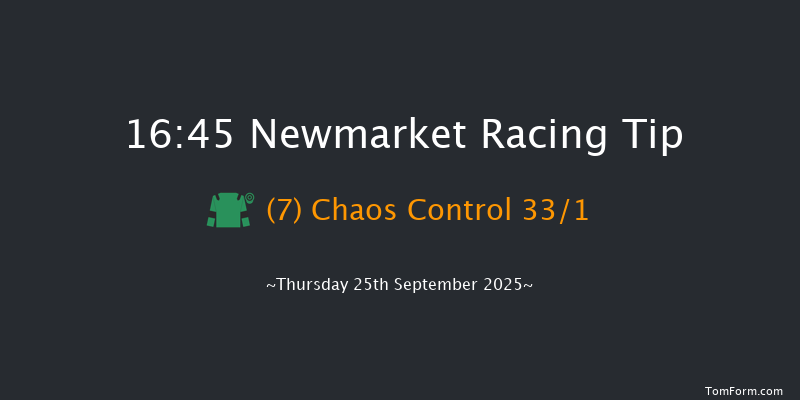Newmarket 16-45 (Class 4) 12f Sat 20th Sep 2025