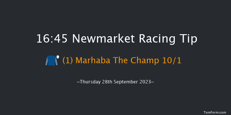 Newmarket 16:45 Handicap (Class 2) 12f Sat 23rd Sep 2023