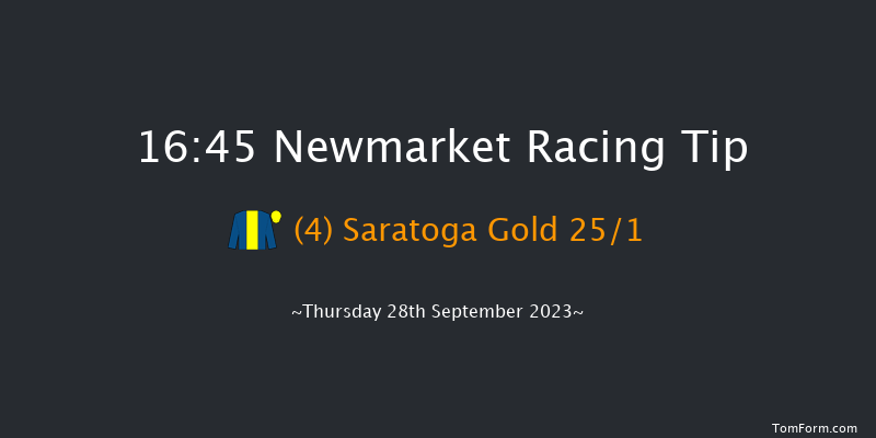 Newmarket 16:45 Handicap (Class 2) 12f Sat 23rd Sep 2023