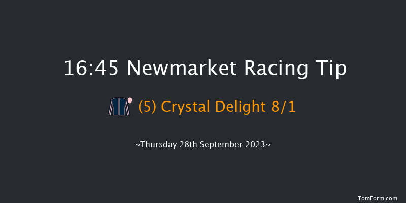 Newmarket 16:45 Handicap (Class 2) 12f Sat 23rd Sep 2023