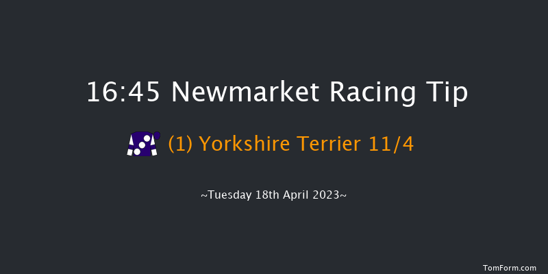 Newmarket 16:45 Stakes (Class 4) 5f Sat 29th Oct 2022