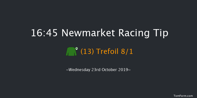 Newmarket 16:45 Stakes (Class 2) 8f Sat 12th Oct 2019