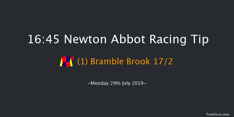 Newton Abbot 16:45 Handicap Chase (Class 4) 21f Sun 21st Jul 2019