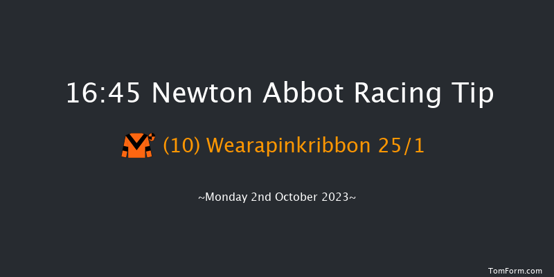 Newton Abbot 16:45 Handicap Hurdle (Class 4) 22f Fri 22nd Sep 2023