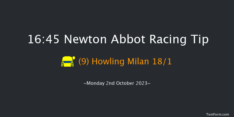 Newton Abbot 16:45 Handicap Hurdle (Class 4) 22f Fri 22nd Sep 2023