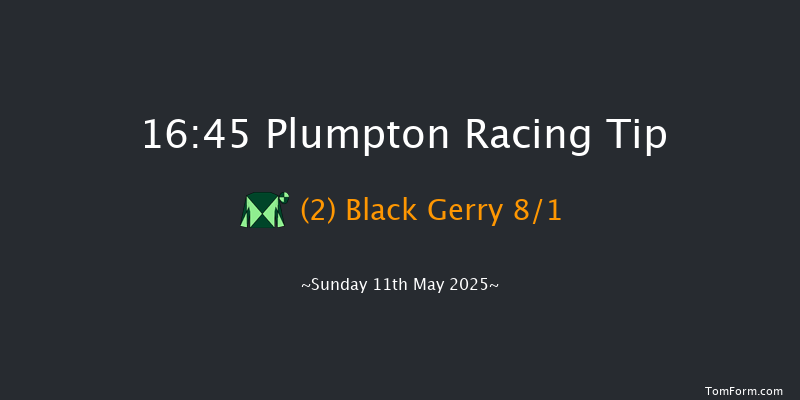 Plumpton 16-45 (Class 4) 25f Mon 21st Apr 2025