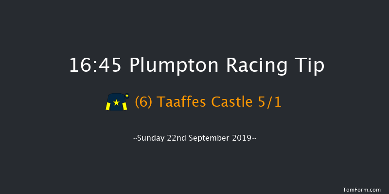 Plumpton 16:45 Handicap Chase (Class 4) 20f Thu 1st Jan 1970