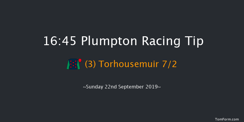 Plumpton 16:45 Handicap Chase (Class 4) 20f Thu 1st Jan 1970