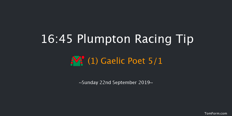 Plumpton 16:45 Handicap Chase (Class 4) 20f Thu 1st Jan 1970