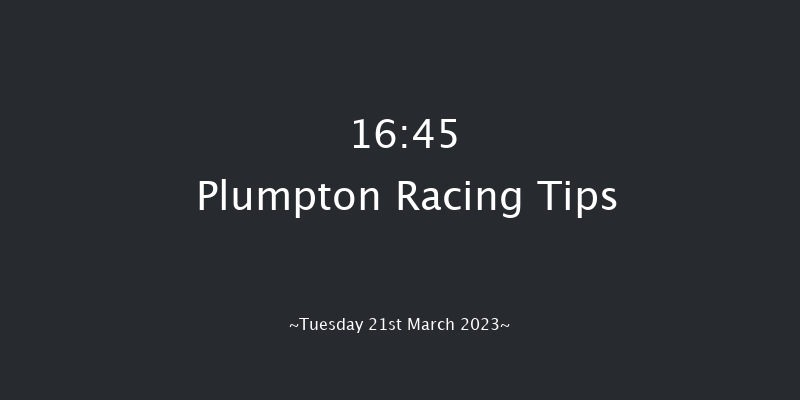 Plumpton 16:45 Handicap Hurdle (Class 5) 16f Mon 13th Mar 2023