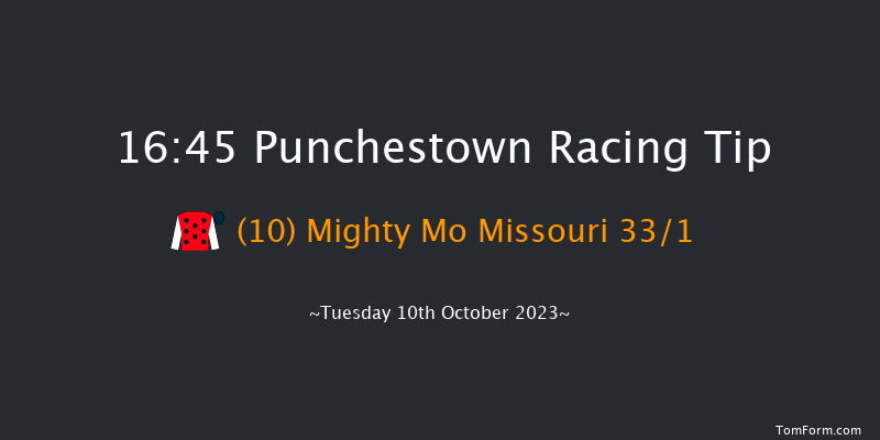 Punchestown 16:45 Handicap Hurdle 23f Wed 13th Sep 2023