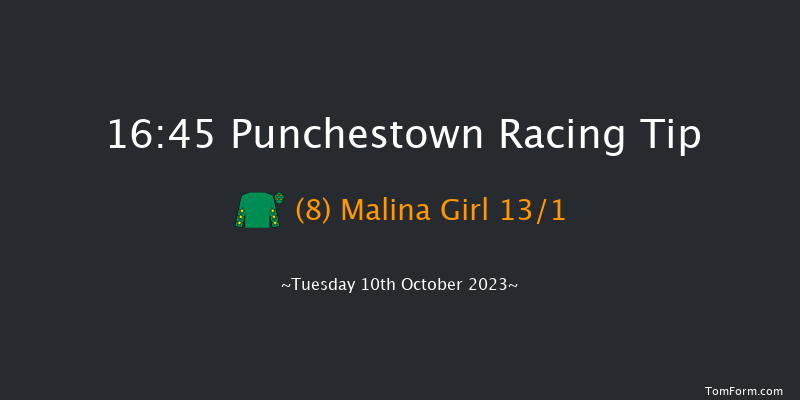 Punchestown 16:45 Handicap Hurdle 23f Wed 13th Sep 2023