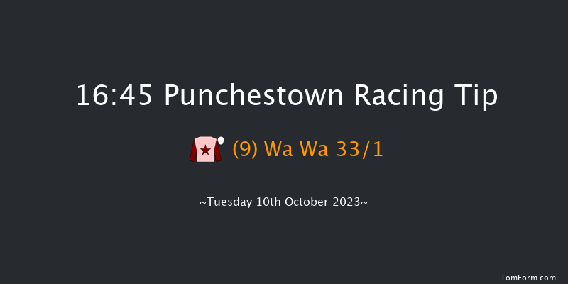 Punchestown 16:45 Handicap Hurdle 23f Wed 13th Sep 2023