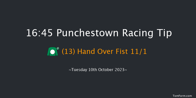 Punchestown 16:45 Handicap Hurdle 23f Wed 13th Sep 2023