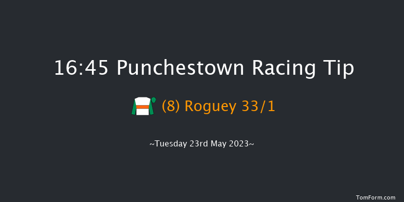Punchestown 16:45 Handicap Hurdle 19f Sat 29th Apr 2023