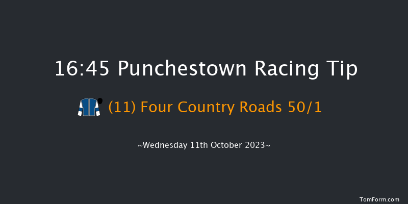Punchestown 16:45 Handicap Chase 23f Tue 10th Oct 2023