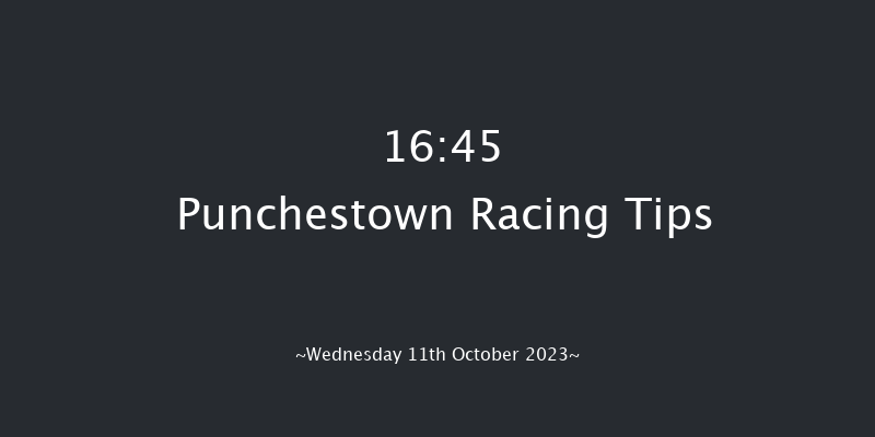 Punchestown 16:45 Handicap Chase 23f Tue 10th Oct 2023