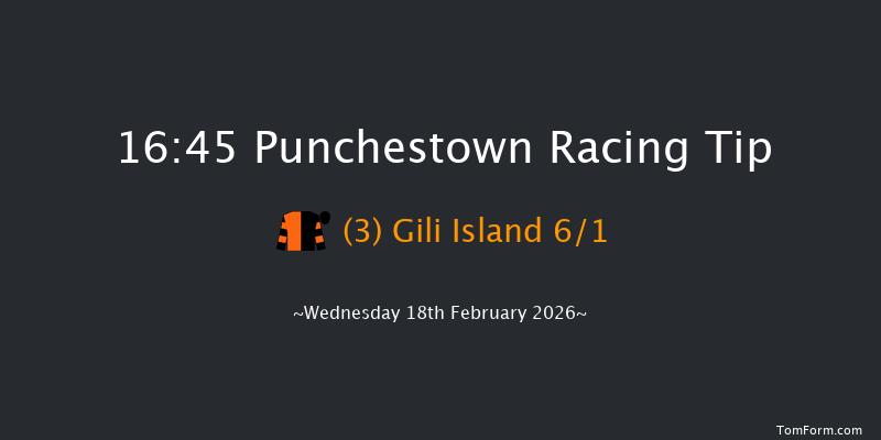 Punchestown 16-45 16f Sun 15th Feb 2026
