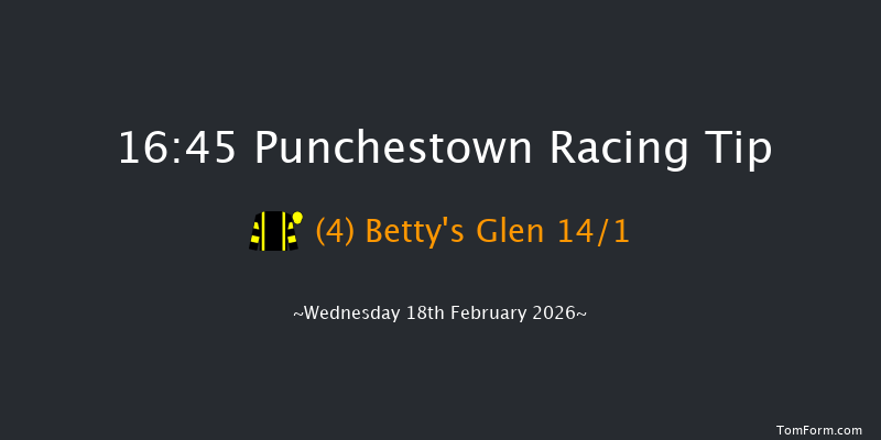 Punchestown 16-45 16f Sun 15th Feb 2026