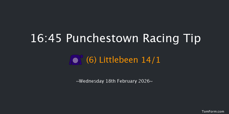 Punchestown 16-45 16f Sun 15th Feb 2026