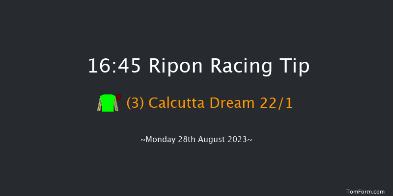 Ripon 16:45 Handicap (Class 6) 10f Sat 19th Aug 2023