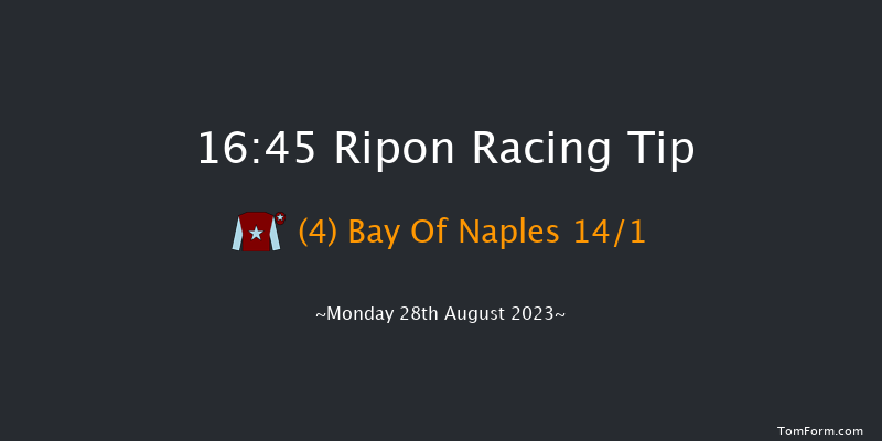 Ripon 16:45 Handicap (Class 6) 10f Sat 19th Aug 2023