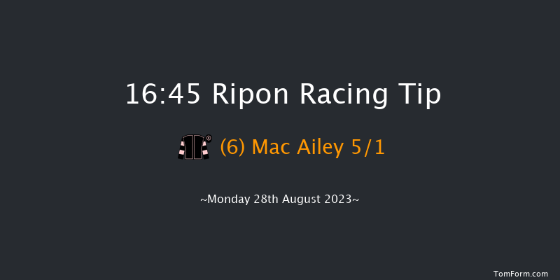 Ripon 16:45 Handicap (Class 6) 10f Sat 19th Aug 2023