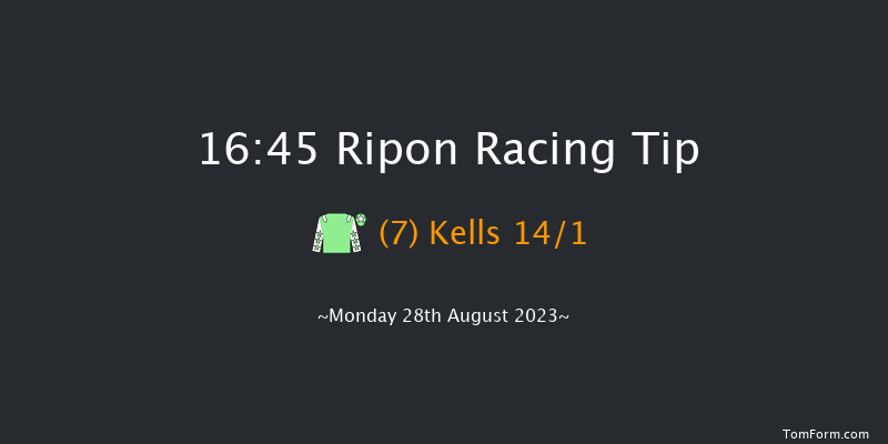Ripon 16:45 Handicap (Class 6) 10f Sat 19th Aug 2023