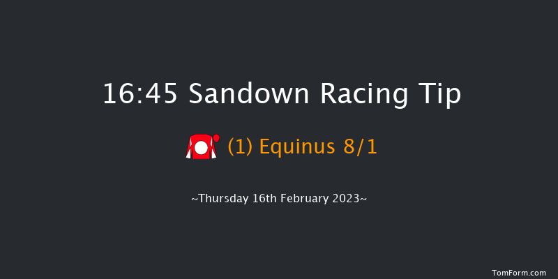 Sandown 16:45 Handicap Hurdle (Class 4) 20f Sat 4th Feb 2023