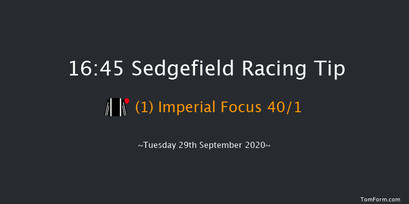 bet365 Handicap Hurdle (Div 1) Sedgefield 16:45 Handicap Hurdle (Class 5) 17f Fri 4th Sep 2020