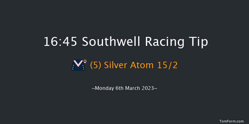 Southwell 16:45 Handicap Hurdle (Class 5) 16f Tue 28th Feb 2023