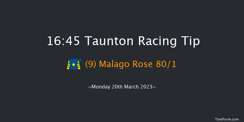Taunton 16:45 NH Flat Race (Class 5) 16f Mon 13th Mar 2023