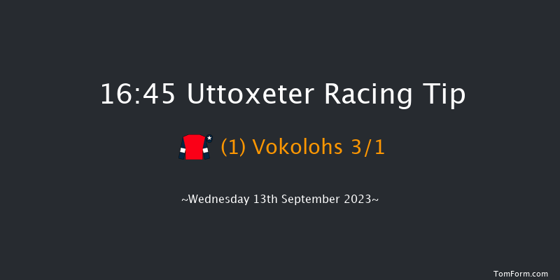 Uttoxeter 16:45 Handicap Chase (Class 5) 24f Wed 30th Aug 2023