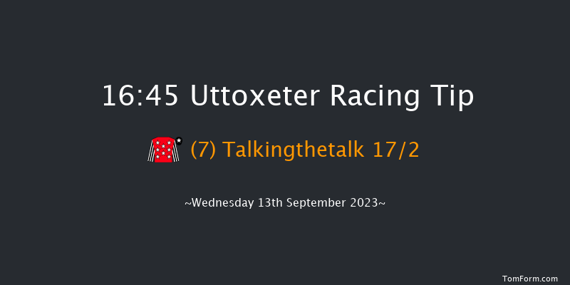 Uttoxeter 16:45 Handicap Chase (Class 5) 24f Wed 30th Aug 2023