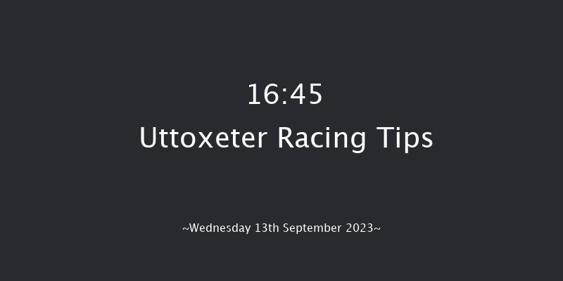 Uttoxeter 16:45 Handicap Chase (Class 5) 24f Wed 30th Aug 2023