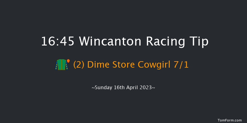 Wincanton 16:45 Handicap Chase (Class 5) 16f Wed 5th Apr 2023