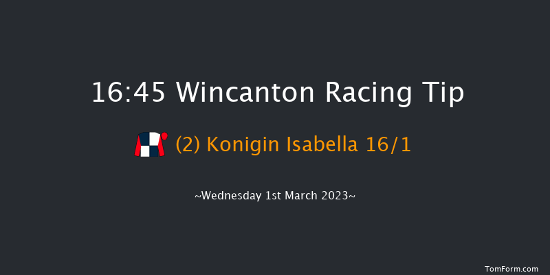 Wincanton 16:45 Handicap Hurdle (Class 5) 15f Sat 18th Feb 2023