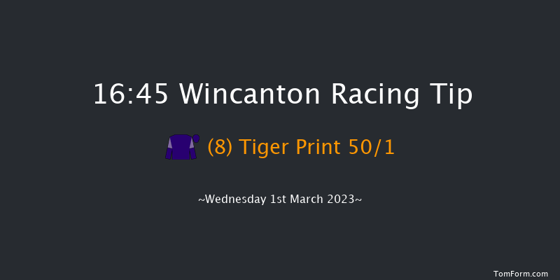 Wincanton 16:45 Handicap Hurdle (Class 5) 15f Sat 18th Feb 2023