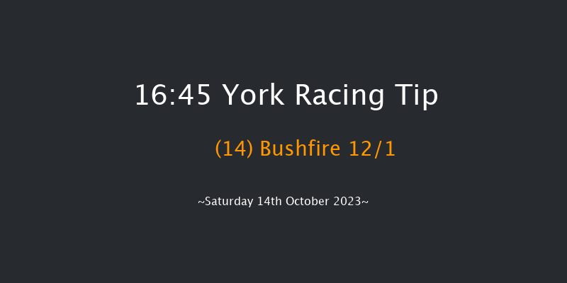 York 16:45 Handicap (Class 4) 10f Fri 13th Oct 2023