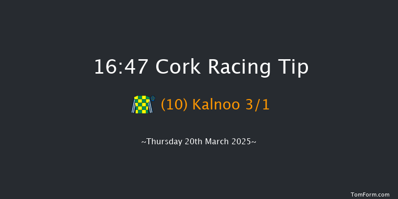 Cork  16:47 Handicap Hurdle 25f Fri 17th Jan 2025