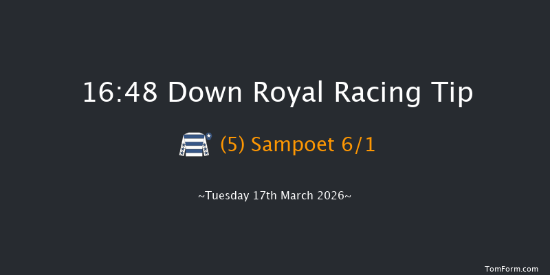 Down Royal 16-48 20f Tue 20th Jan 2026