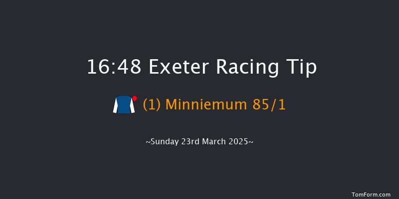 Exeter  16:48 Handicap Chase (Class 5) 24f Tue 18th Mar 2025