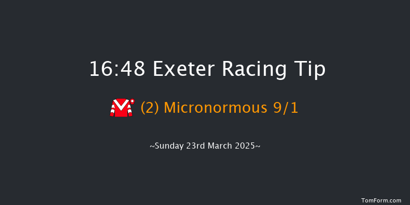 Exeter  16:48 Handicap Chase (Class 5) 24f Tue 18th Mar 2025