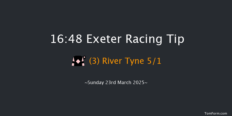 Exeter  16:48 Handicap Chase (Class 5) 24f Tue 18th Mar 2025