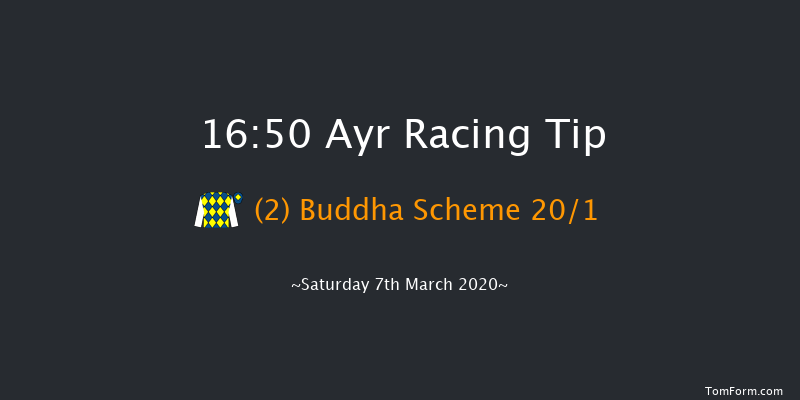 Magners Irish Cider Handicap Chase Ayr 16:50 Handicap Chase (Class 4) 24f Sun 19th Jan 2020