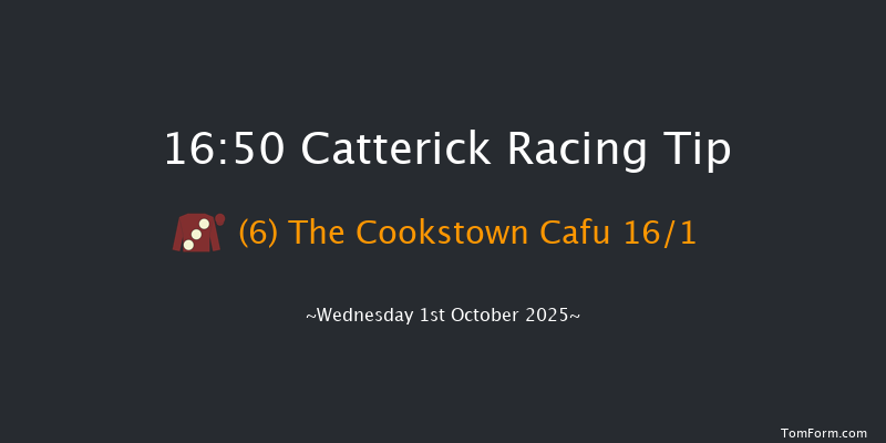 Catterick 16-50 (Class 5) 7f Tue 9th Sep 2025